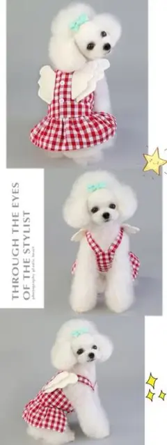 Item thumbnail for item e0b096a0-9a73-4eb8-b8ce-046fc506db31