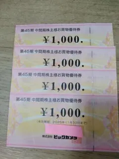 ビックカメラ　株主優待(4000円分）