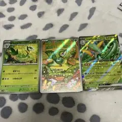ポケモンカード　ブラックボルト　ツタージャ　ジャノビー、ジャローダ