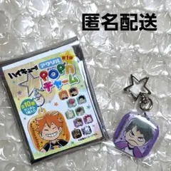 ハイキュー アクリルpop'nチャーム コンプセット ハイキュー アクリルpop'nチャーム コンプセット ハイキュー