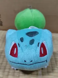ポケットモンスター　ポケモン フシギダネ もぐもぐタイムぬいぐるみ