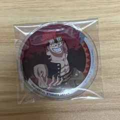 ワンピース USJ 缶バッジ