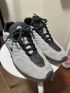 Nike SB Vertebrae スニーカー グレー/ブラック