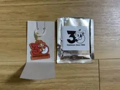 ポケモン 30周年 ロゴマスコット ポケチャーム ヒコザル