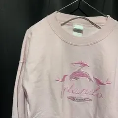 無断購入禁止！！ オーランド イルカ刺繍 ヴィンテージ トレーナー