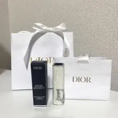 Dior リップケース　ショッパー付