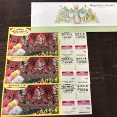 即日発送致します⭐︎なばなの里・ベゴニアガーデン 招待券　3枚セット