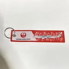 ♪*♪様 JAL A350 フライトタグ 飛行機 キーホルダーのサムネイル