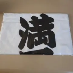 Item thumbnail for item 804eccb2-ac15-4773-8adb-627b1aab2c2d