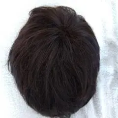 2026年最新】アデランスウィッグ トップピースの人気アイテム - メルカリ