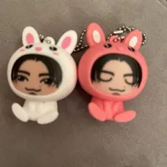 THE RAMPAGE 武知海青 着ぐるみキーホルダー うさぎ セット