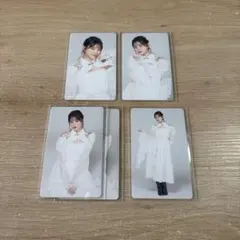 石井蘭 タレントカード