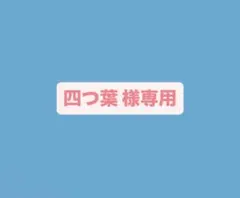 【種類変更可‼️】ツルヤ かりんとうセット りんご 珈琲 牛乳 レモンかりんとう