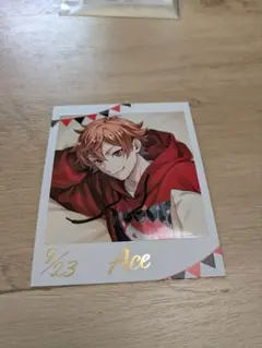 ツイステ、くつろぎマイルーム、フォト風カード、エース