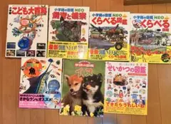 福音館書店 ずかんライブラリーシリーズ 12冊セット - メルカリ