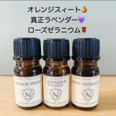 未使用・未開封品】アシェット やさしいアロマ生活 生活の木 アロマ