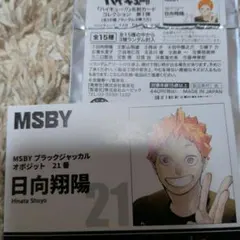 ハイキュー　ファンパーク　名刺カード　日向翔陽