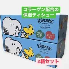 Item thumbnail for item 6facf75a-8f2d-4419-9473-7f2c4234306f