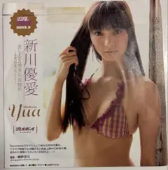 新川優愛　週プレ　DVD　2013年　週刊プレイボーイ