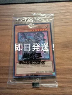 遊戯王 日本選手権2026 プロモ The Lady's Protectors - メルカリ