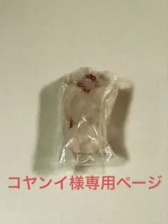 SKZOO グミ＆チャーム