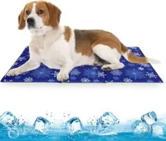 Item thumbnail for item 994242ca-a6a3-4447-826b-e9c30a9c7964