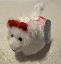 サモエドくんしっぽぐるぐるマスコット　ぬいぐるみ　もえさん　新品