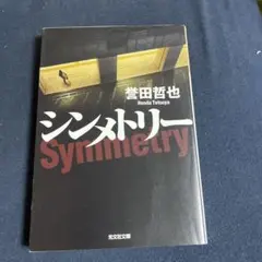 シンメトリー