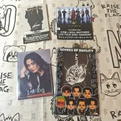 【即購入OK】《新品》ECHOES of DUALITY 会場限定カードホルダー