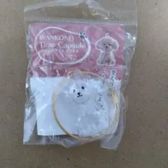WANKONO Time Capsule 犬　わんこのタイムカプセル　むぎ