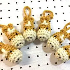 Item thumbnail for item a4c91944-0b4f-4084-a587-c13d5bc4ddac