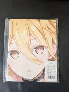 22869 星宮六喰 デート・ア・ライブ ※超厚手 バスタオル100×50