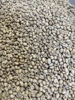 コーヒー生豆