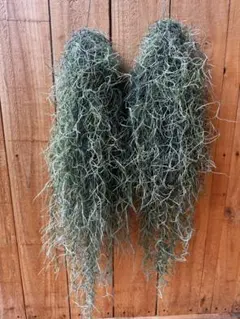 tumugiba様 リクエスト 3点 まとめ商品