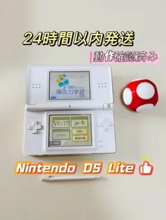 Nintendo DS Lite本体（ホワイト）動作確認済み