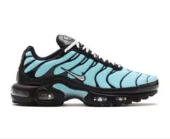 Nike Air Max Plus マップラ 水色