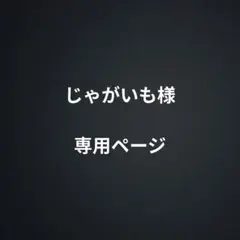 じゃがいも様専用ページ