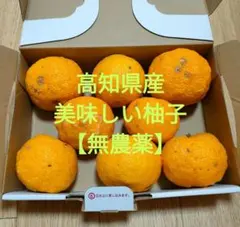 2025年最新】無農薬 ゆずの人気アイテム - メルカリ