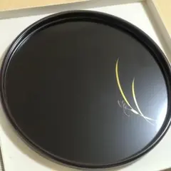 Item thumbnail for item a1ab7991-ad00-48b4-a748-3f7df0133e14