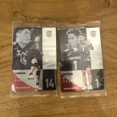 バレーボール日本代表 石川祐希 西田有志