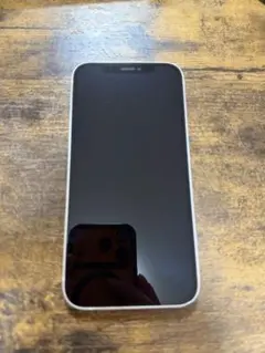 Apple iPhone 12 本体