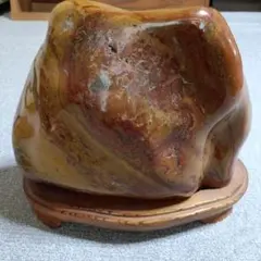 菊花石 岐阜県根尾谷産4.9㌔ 鑑賞石 観賞石 水石 盆石 天然石 三蓋松同種 菊花石 岐阜県根尾谷産4.9㌔ 鑑賞石 観賞石 水石 盆石 天然石 三蓋松