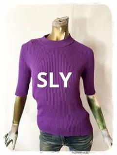 ☘️T19638☘️SLY リブ編み 半袖ニット トップス F