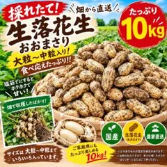 3kg【新物 おおまさり】 生落花生 新鮮 農家直送 千葉県産※箱込 112②