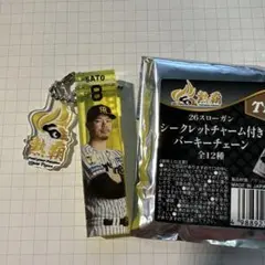 阪神タイガース シークレットキーホルダー 確率1%！！ 岩貞祐太 直筆