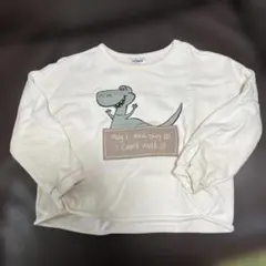 LAGKAW 恐竜プリント トレーナー 100cm トイ・ストーリー　レックス