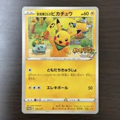 ピカチュウ いっしょにたべよ PROMO XYシリーズプロモーションカード