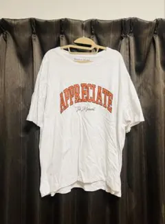 Daniel Dodd 半袖 Tシャツ 5L ビッグサイズ