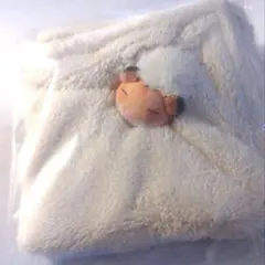 新品☆YOU+MORE! おがくずに埋もれて眠るハムスターのハンカチ/ゴールデンのサムネイル