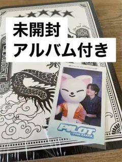 アイエン ペンミ ポラロイド ポラ アルバム pilot 5star 未開封